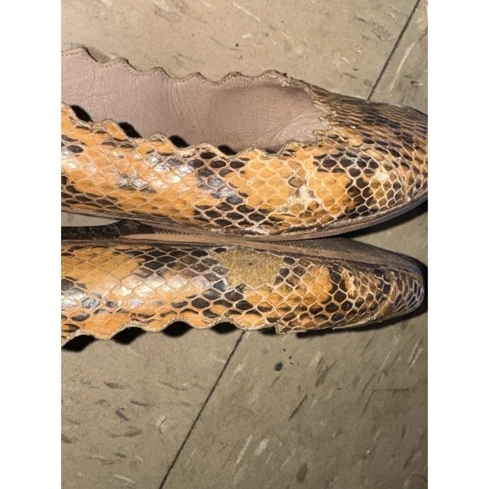 Chloe‎ Lauren Ballet Flats Brown Snakeskin Scalloped Womens Shoe Size EU 37 US 7